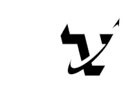 FlashFX Tera logo
